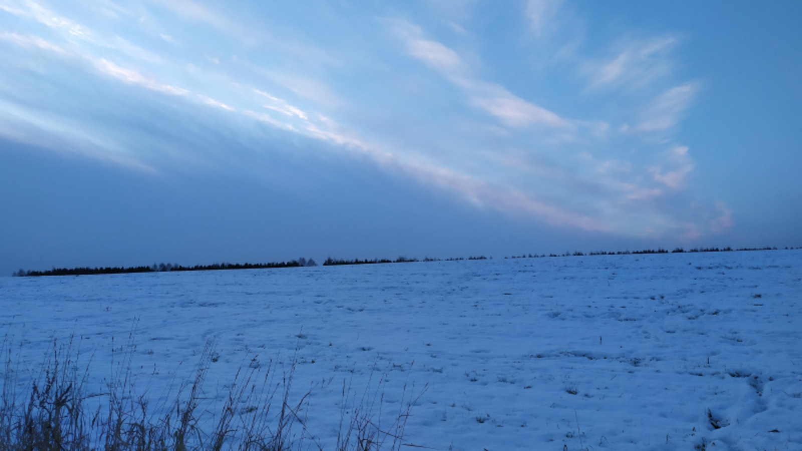 Фото Васили Саитовой.
