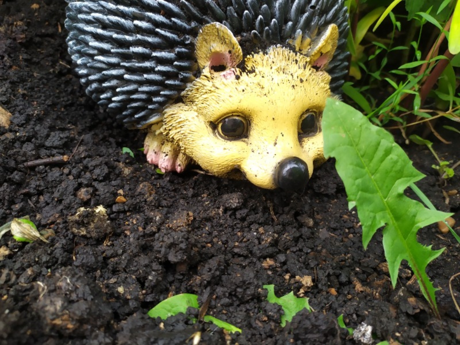 Васили Саитовой.