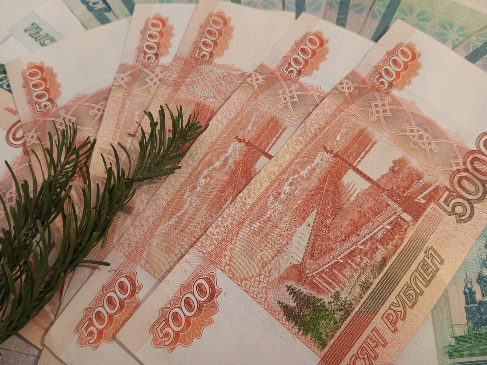 Евгении Сюткиной.