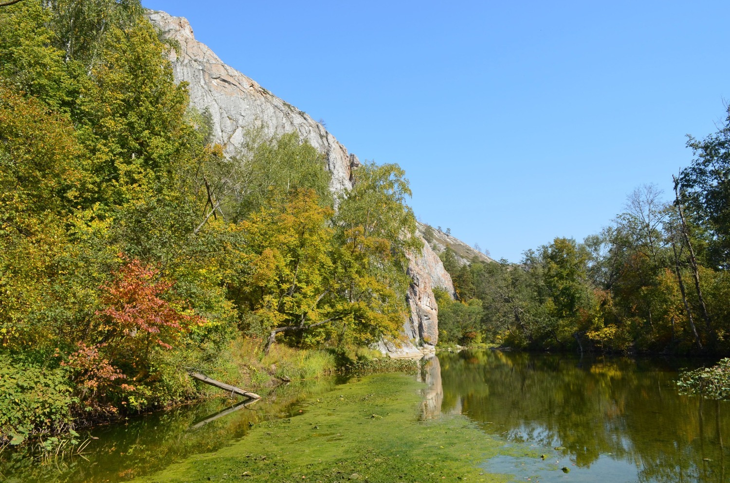 Владимира Шакиева.