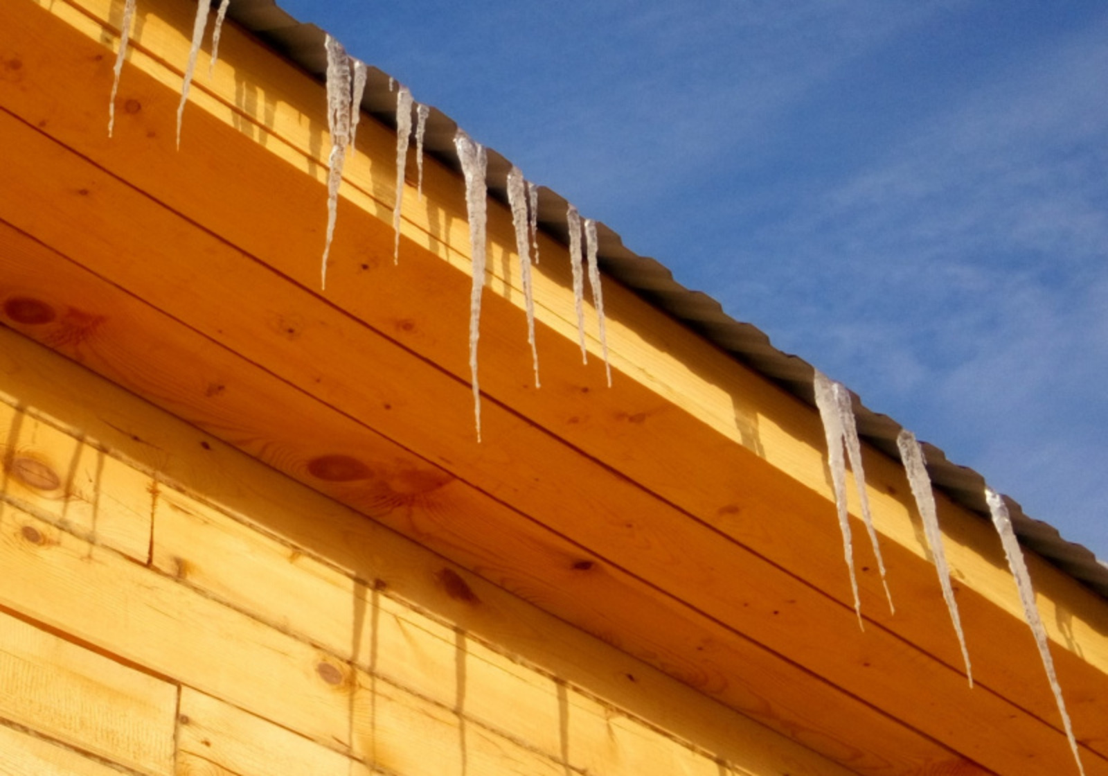 Фото Васили Саитовой.