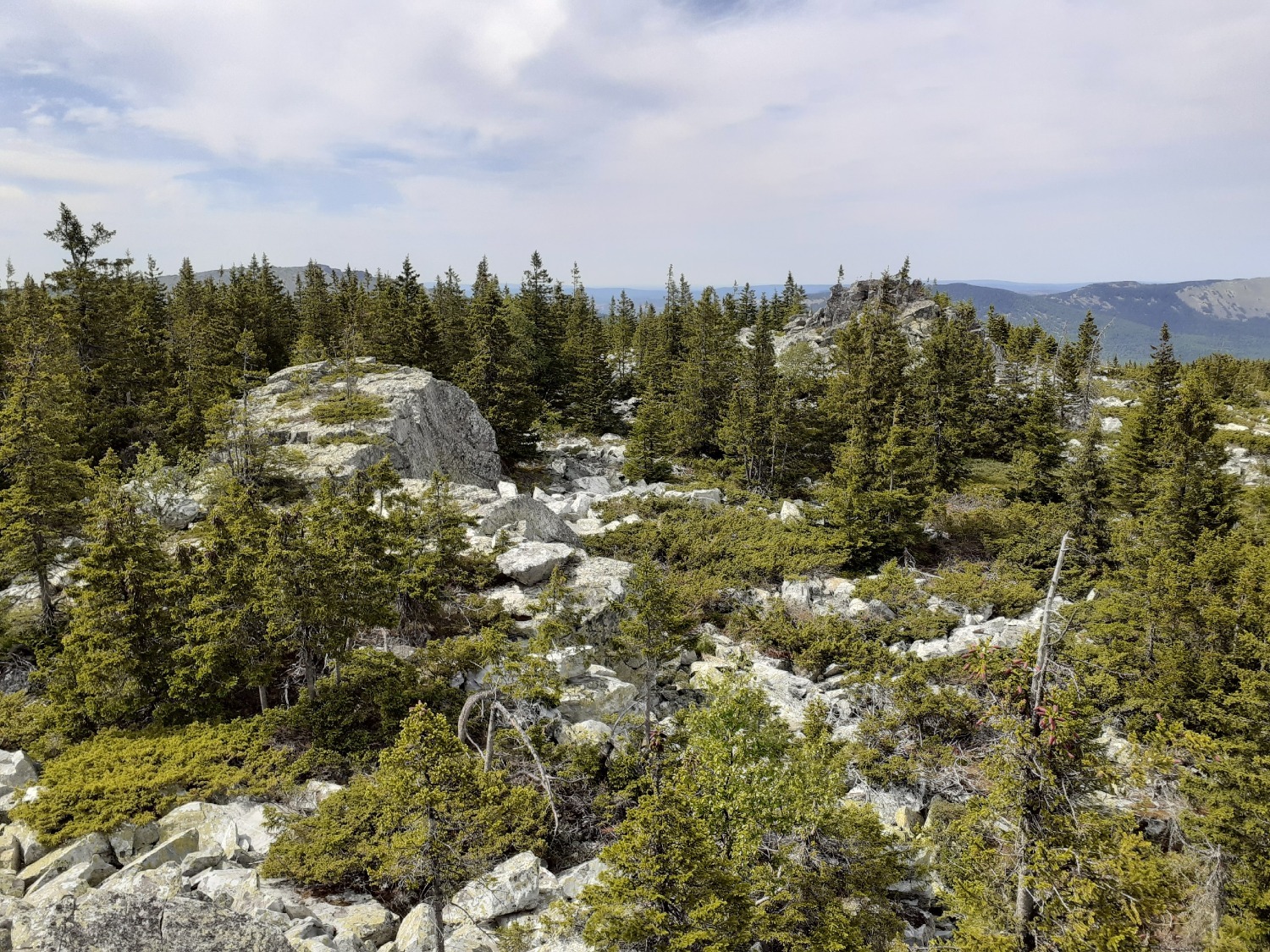Владимира Шакиева.