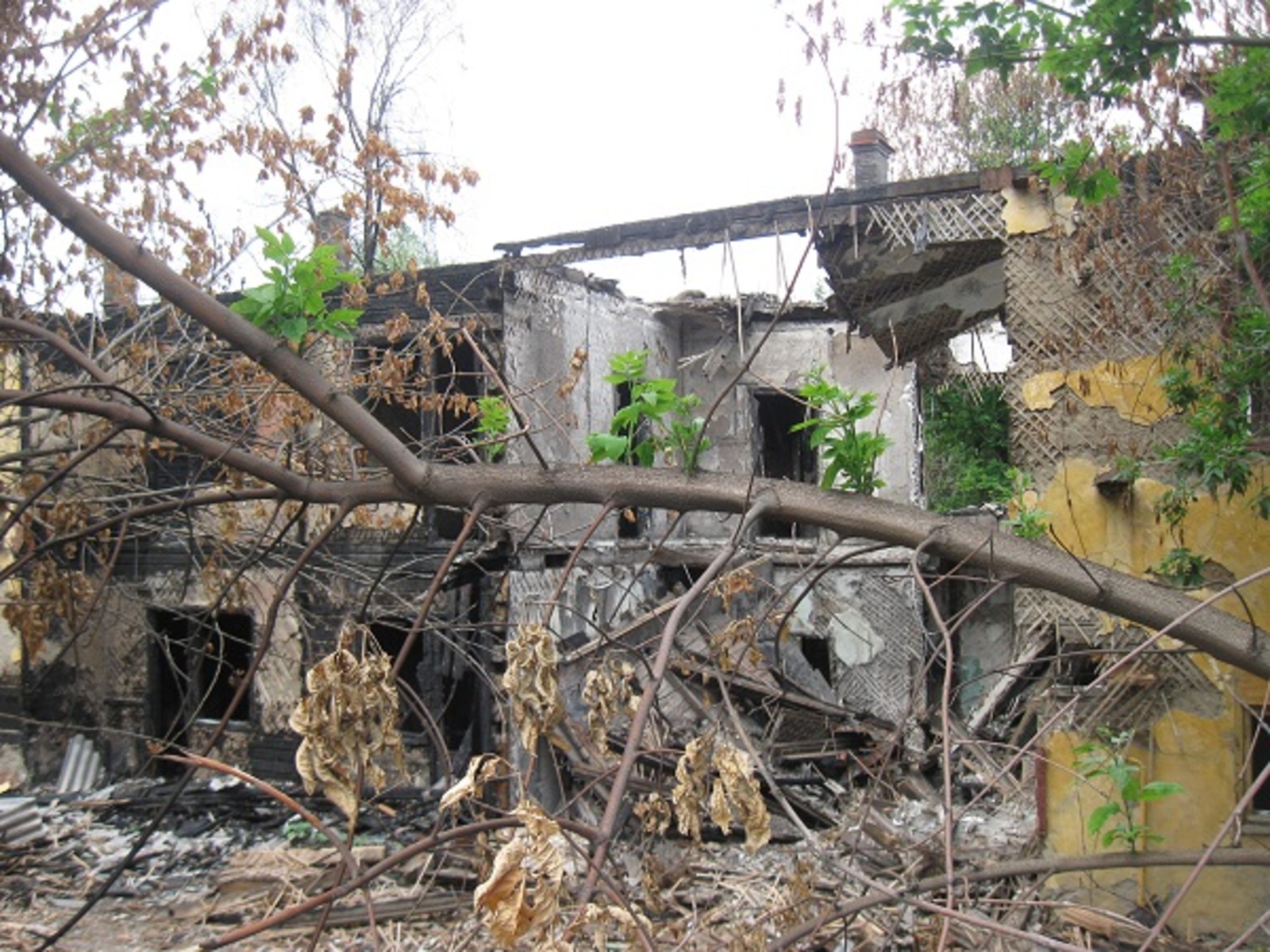 Фото автора.