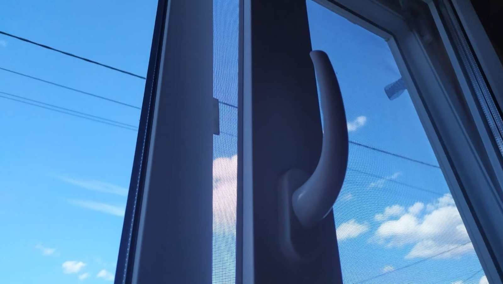 Васили Саитовой.