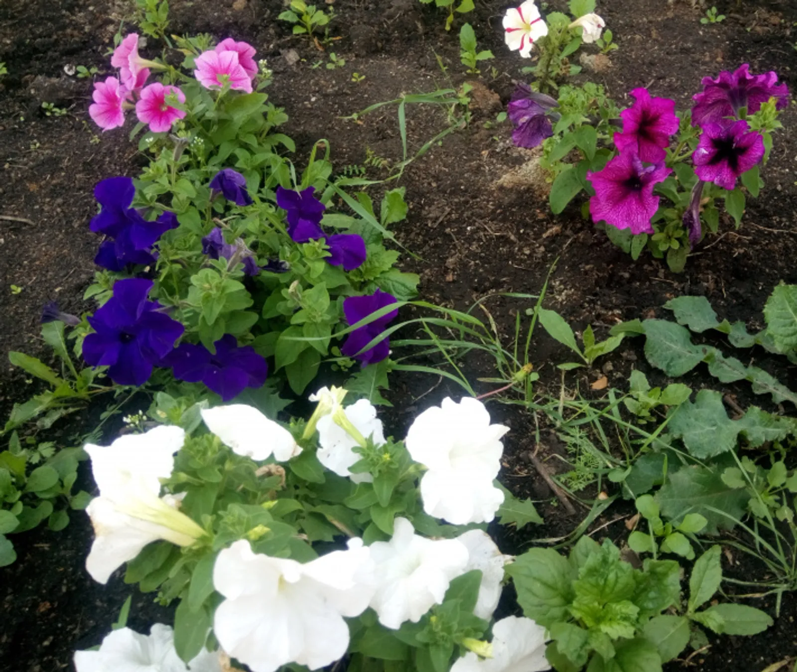 Фото Васили Саитовой.