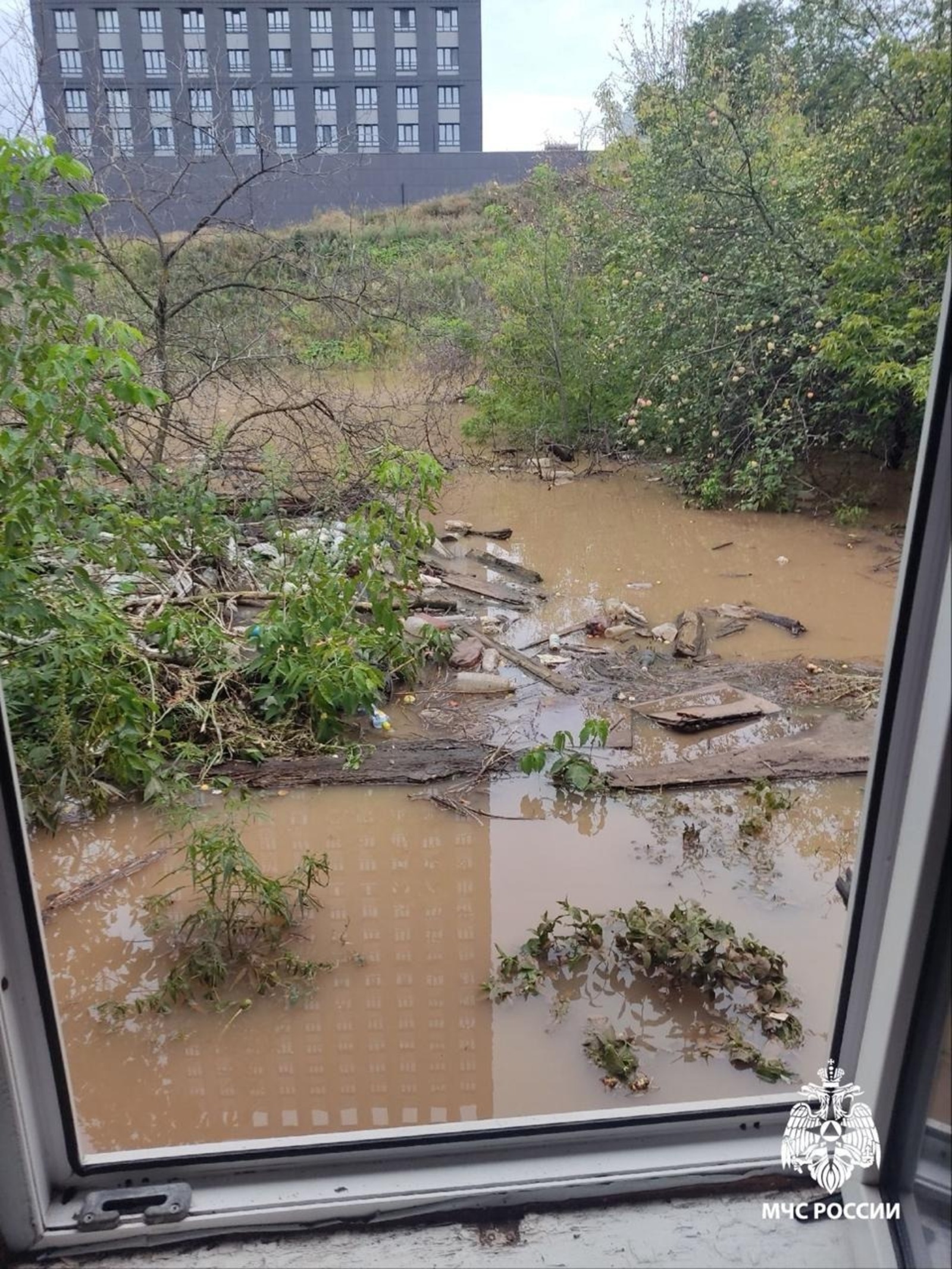 Васили Саитовой.