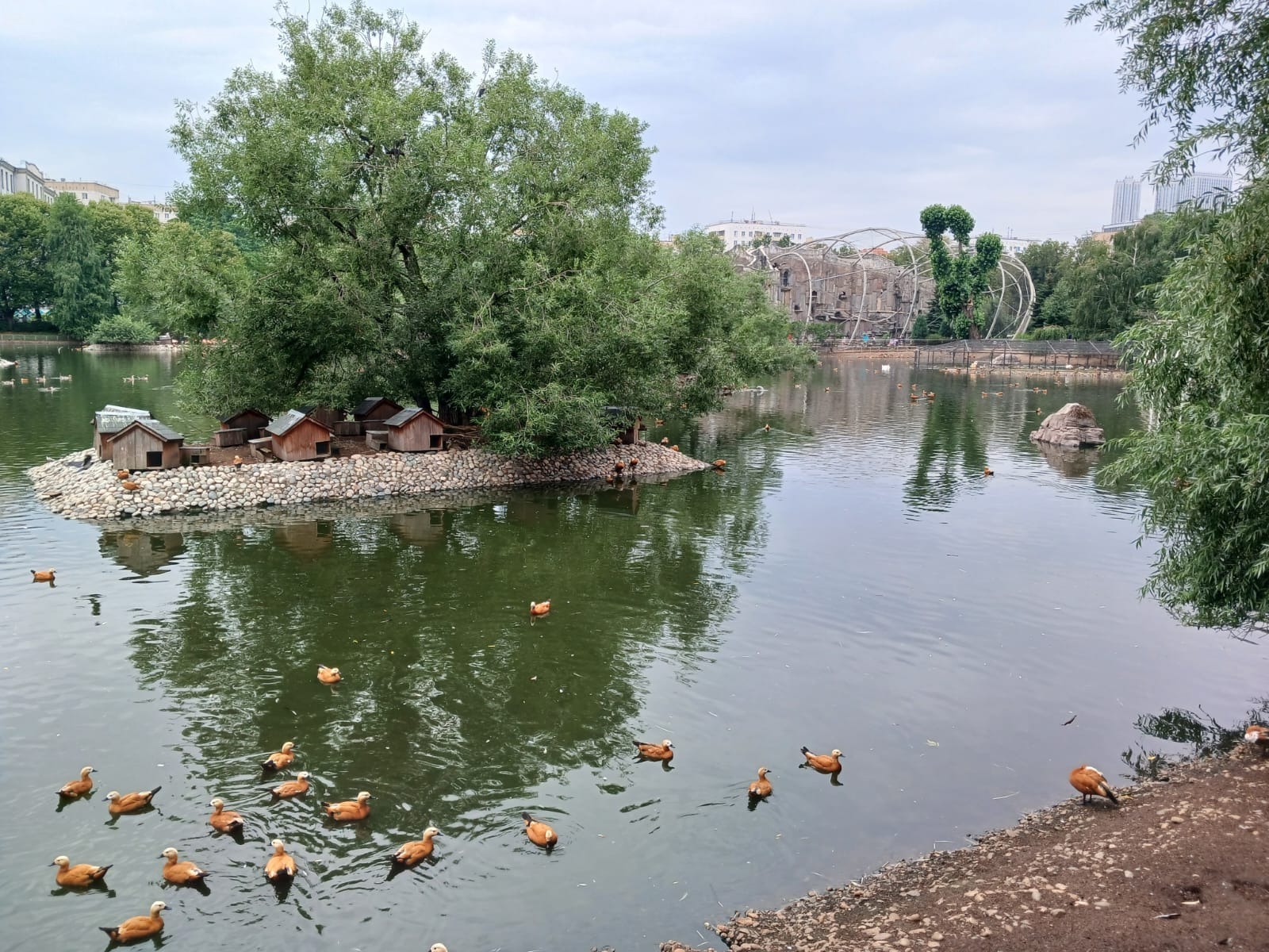 Васили Саитовой.