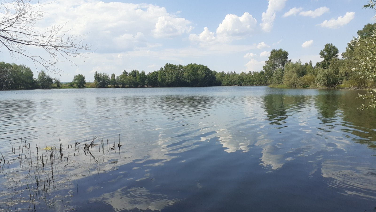 Владимира Шакиева.