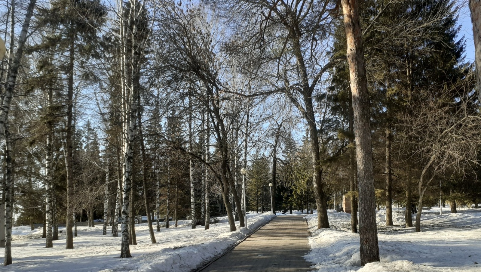 Владимира Шакиева. «Общественная электронная газета».