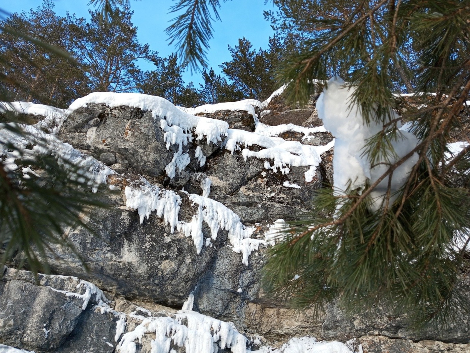 Евгении Сюткиной.
