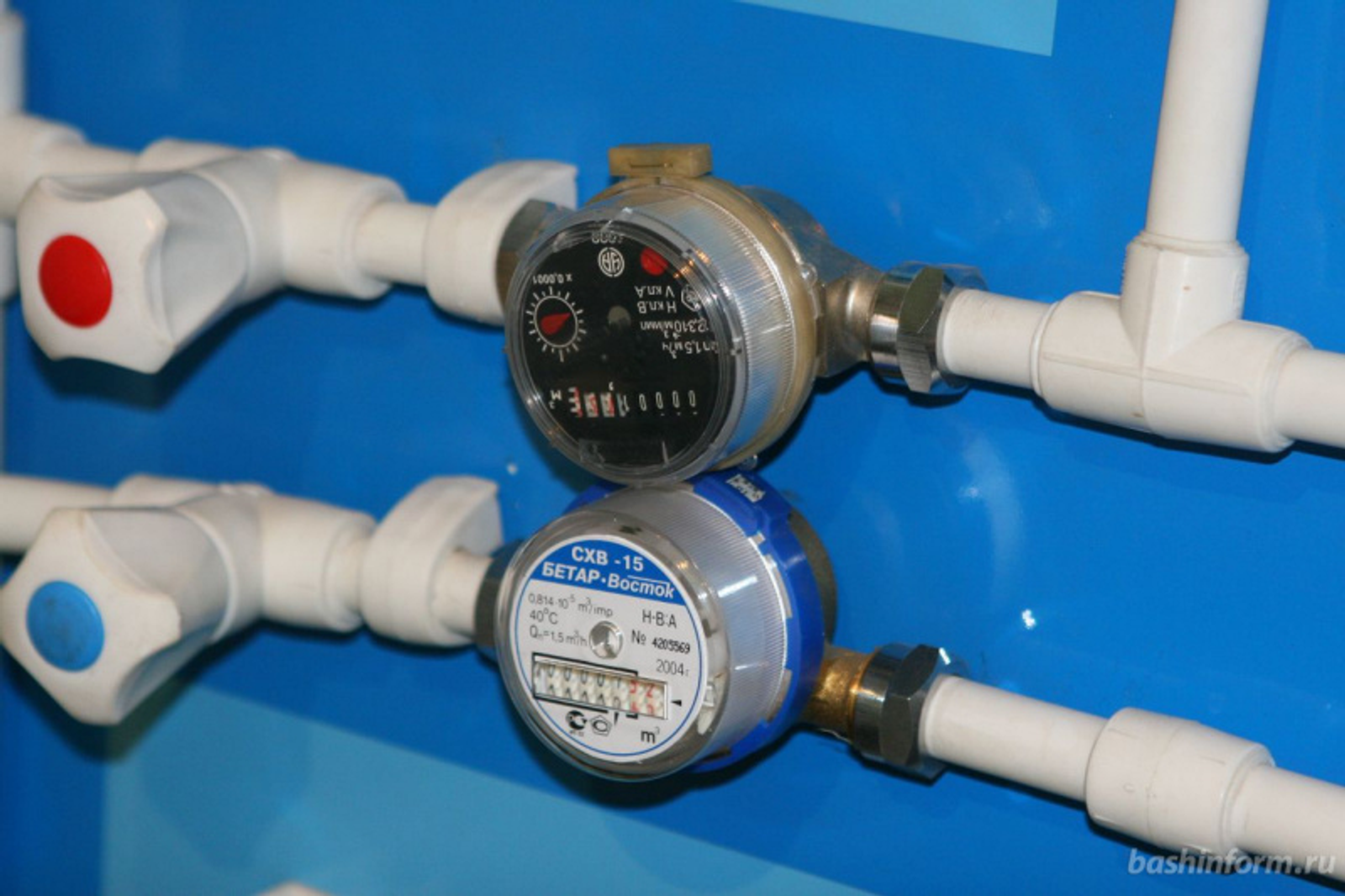 Фото Андрея Старостина.