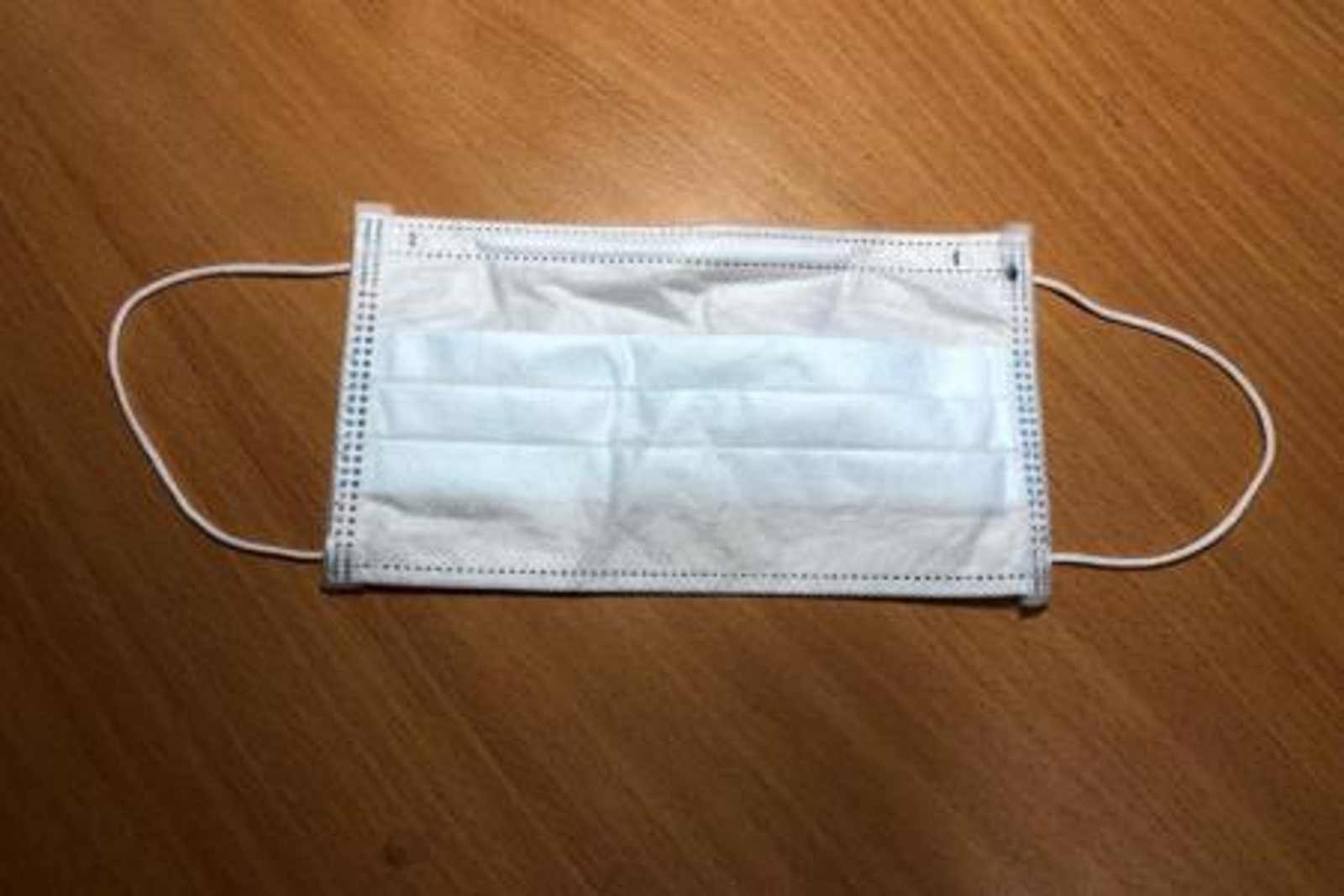 Фото Елены Колоколовой.