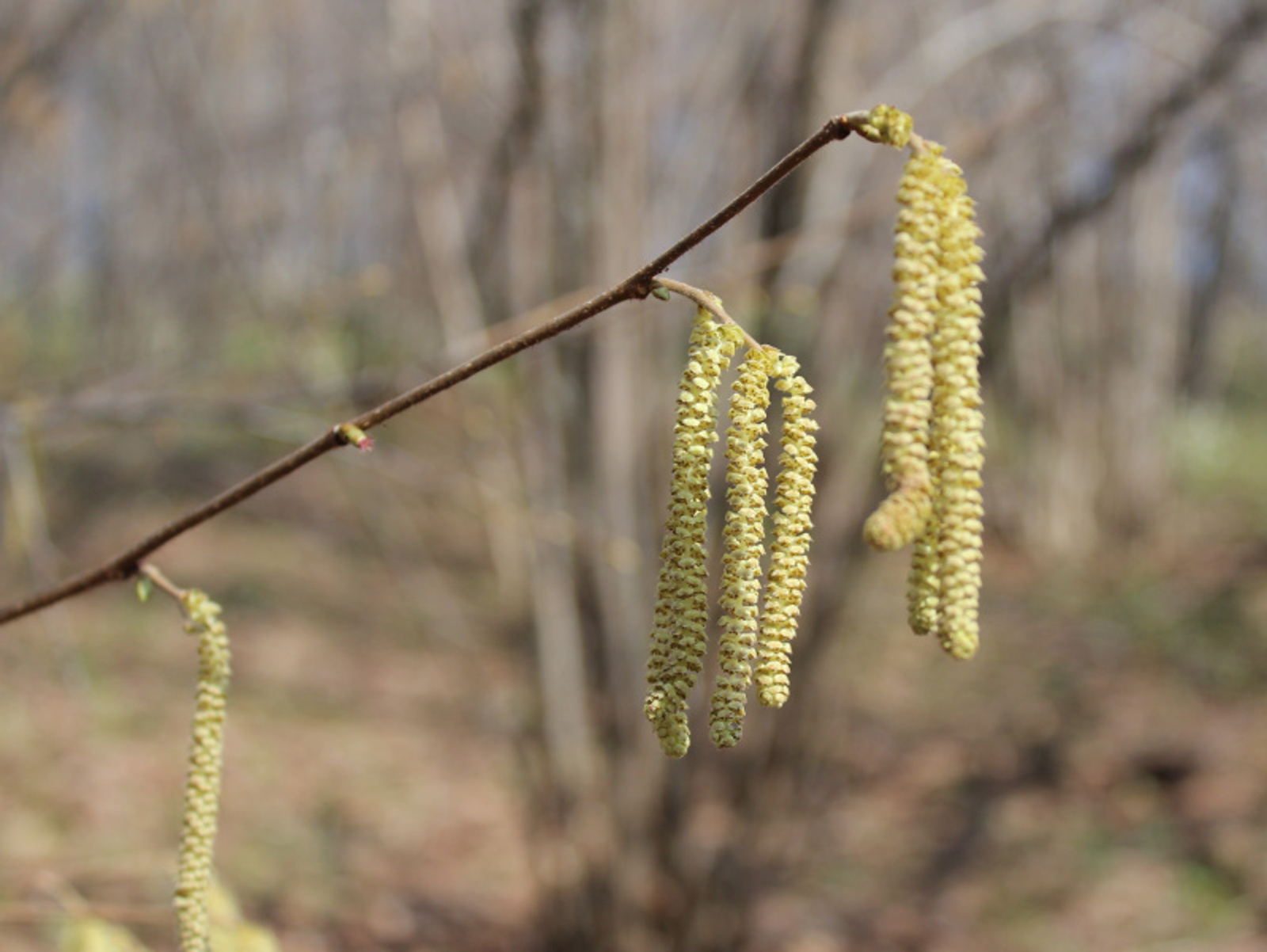 Фото Дарьи Святохиной.