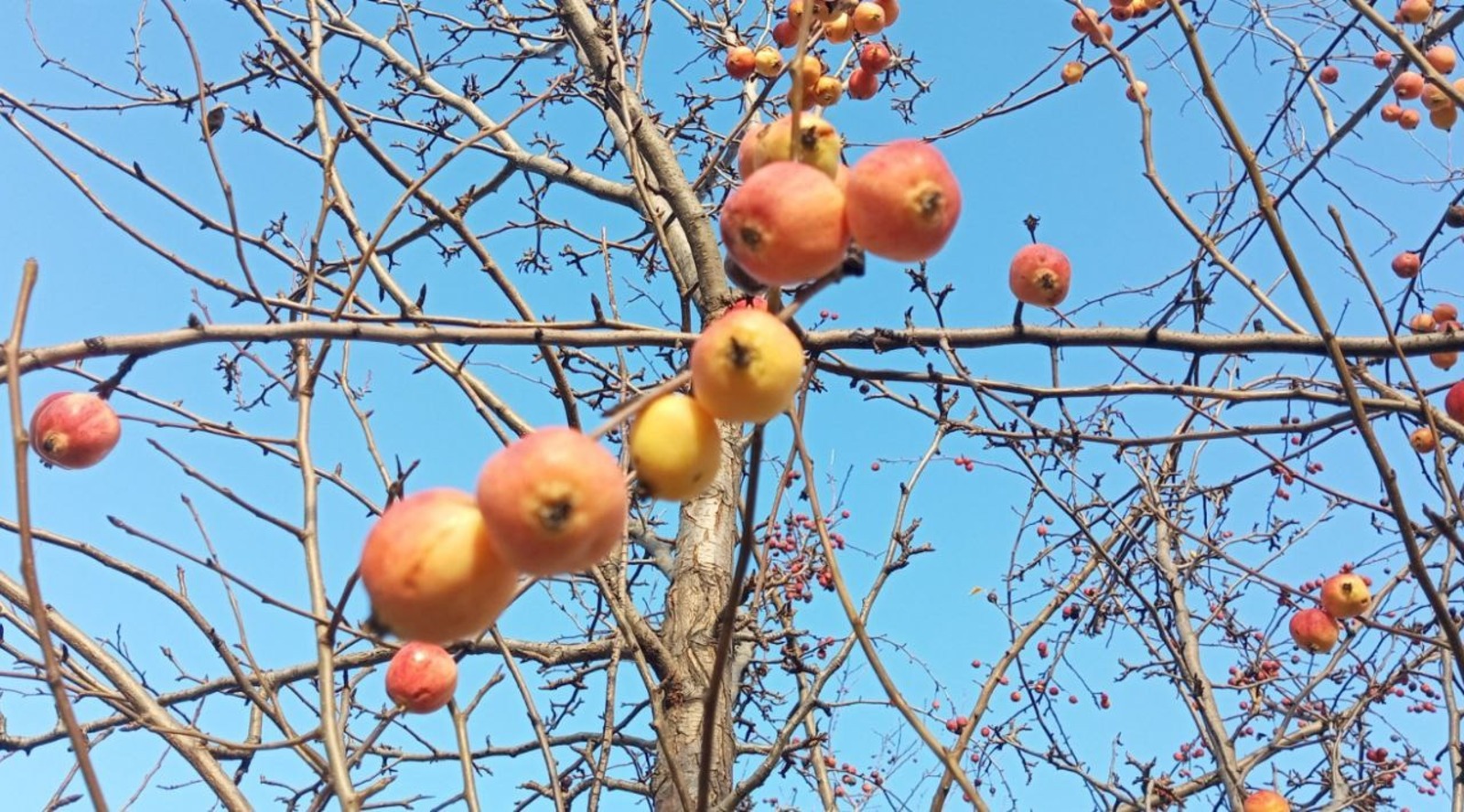 Евгении Сюткиной. «Общественная электронная газета».