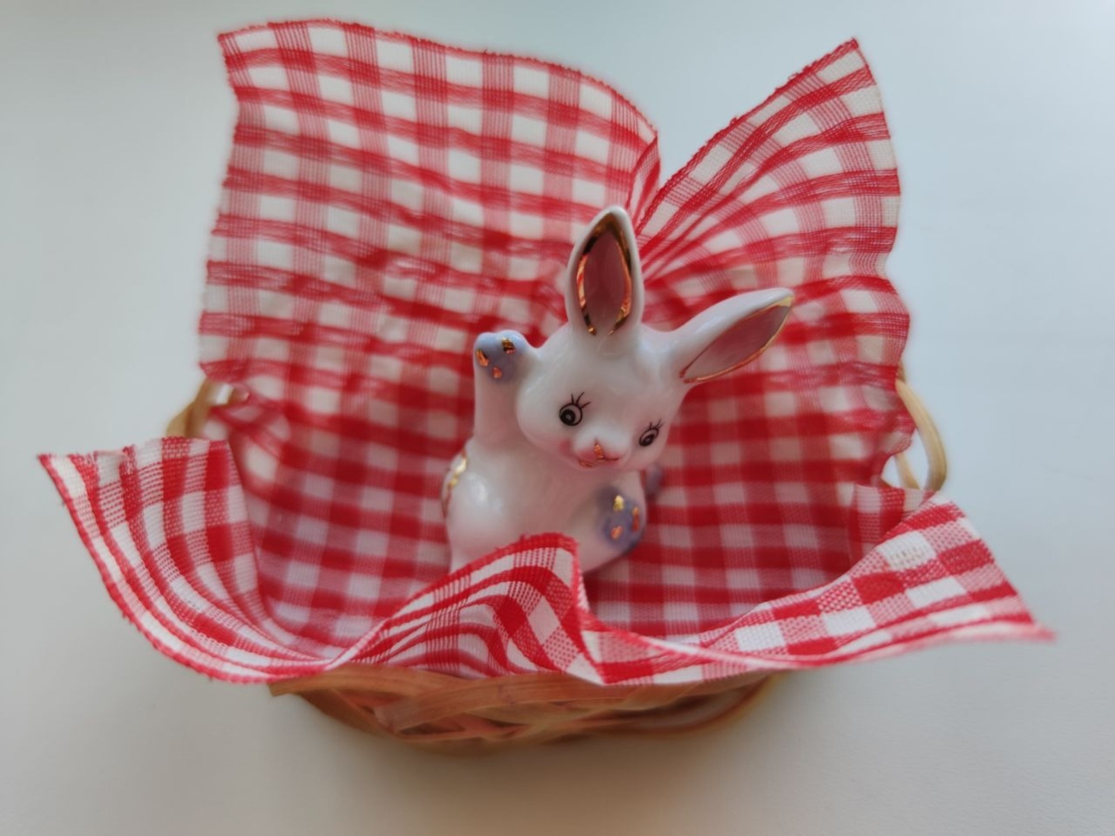 Дарьи Святохиной.