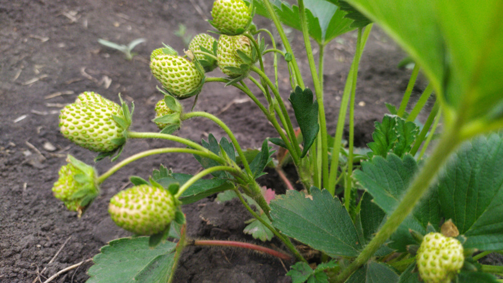 Фото Васили Саитовой.