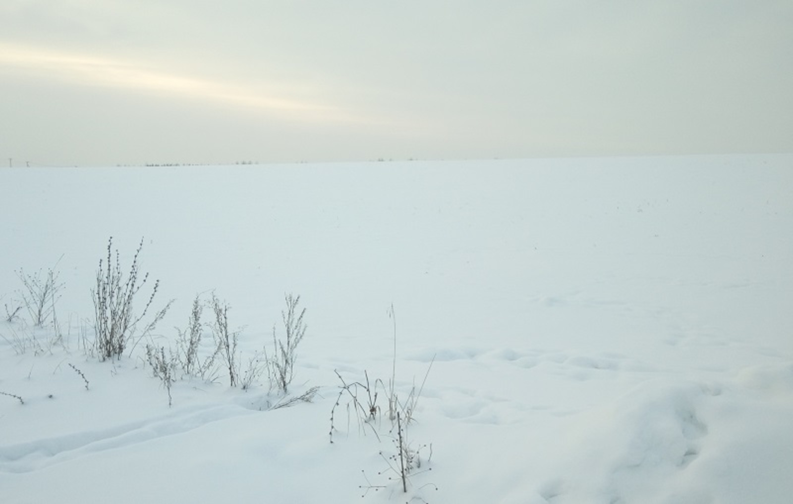Фото Васили Саитовой.