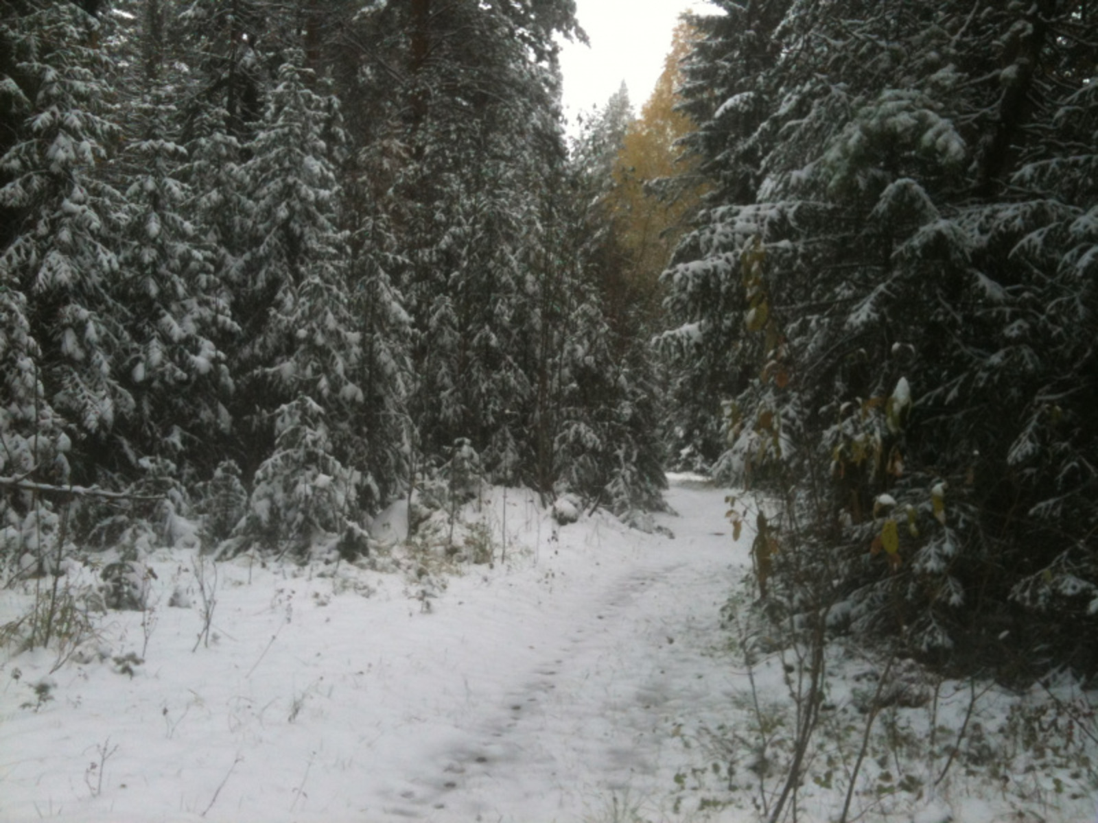 Фото автора.