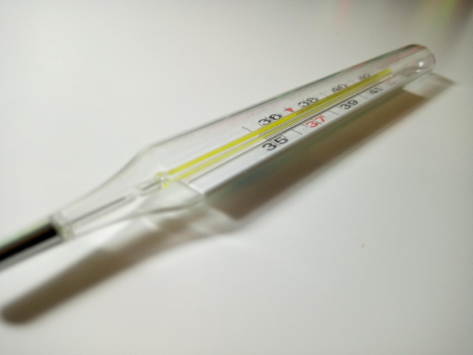 Фото Васили Саитовой.