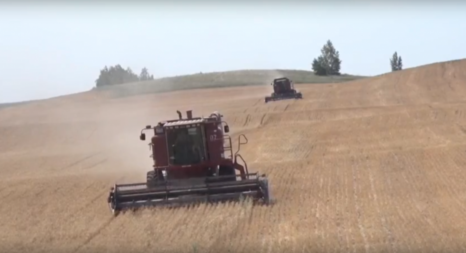 Фото - скрин видео.