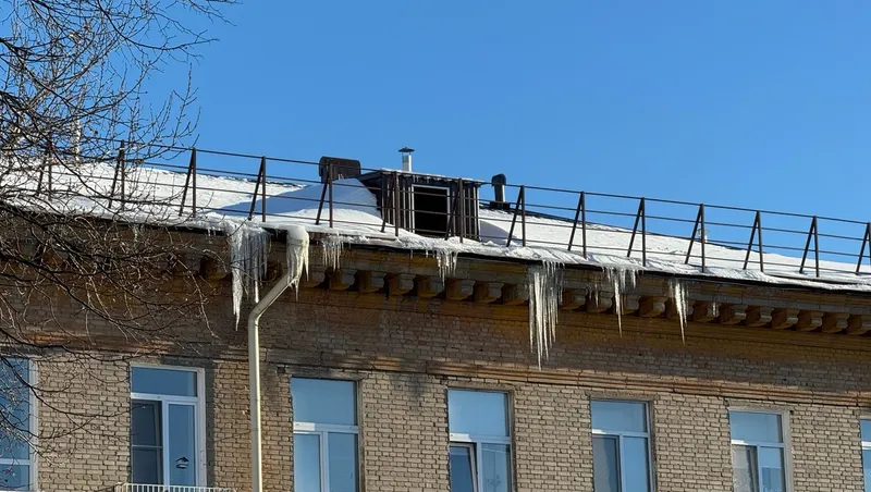 Елены Колоколовой.  «Общественная электронная газета».