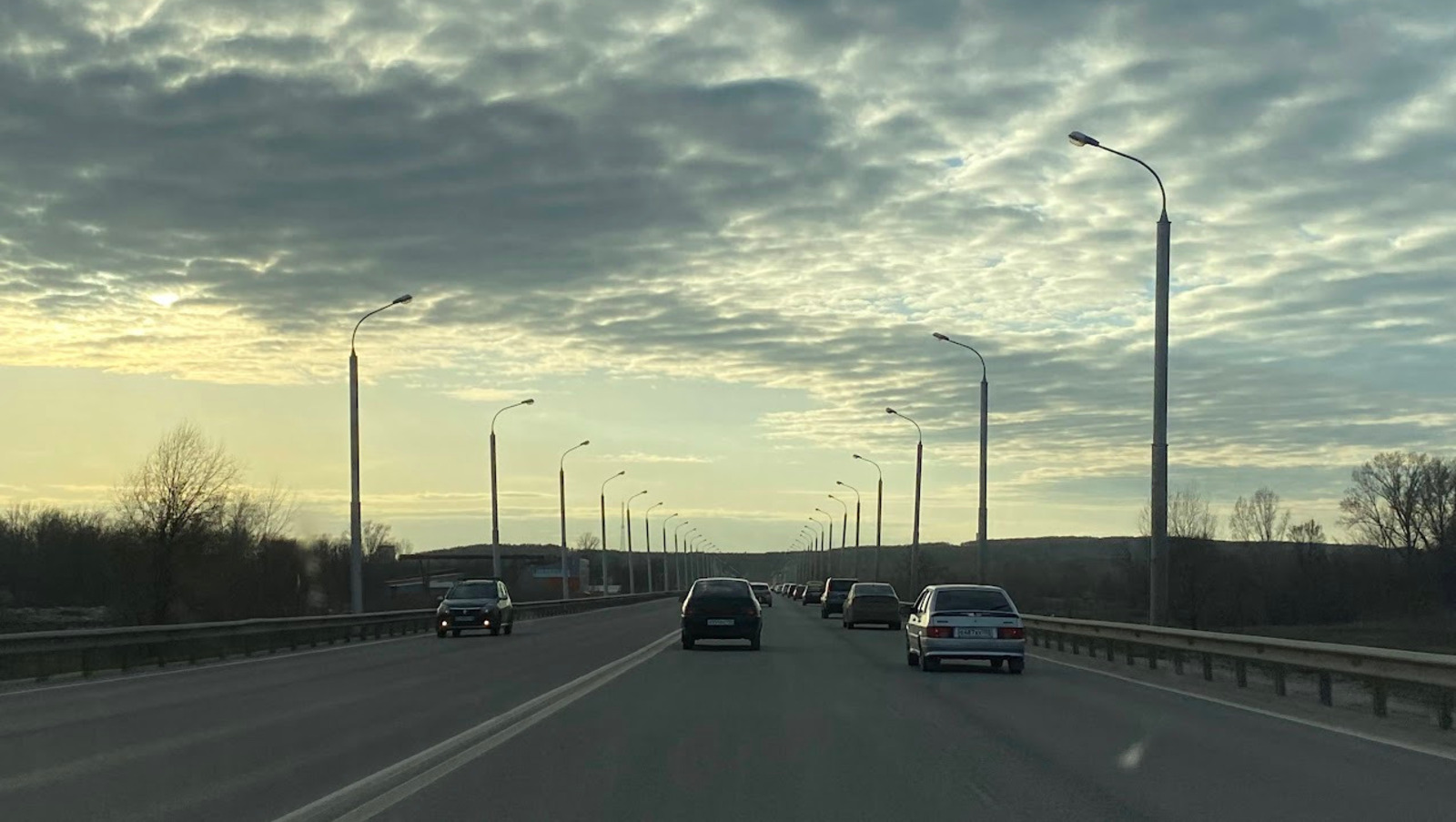 Елены Колоколовой.