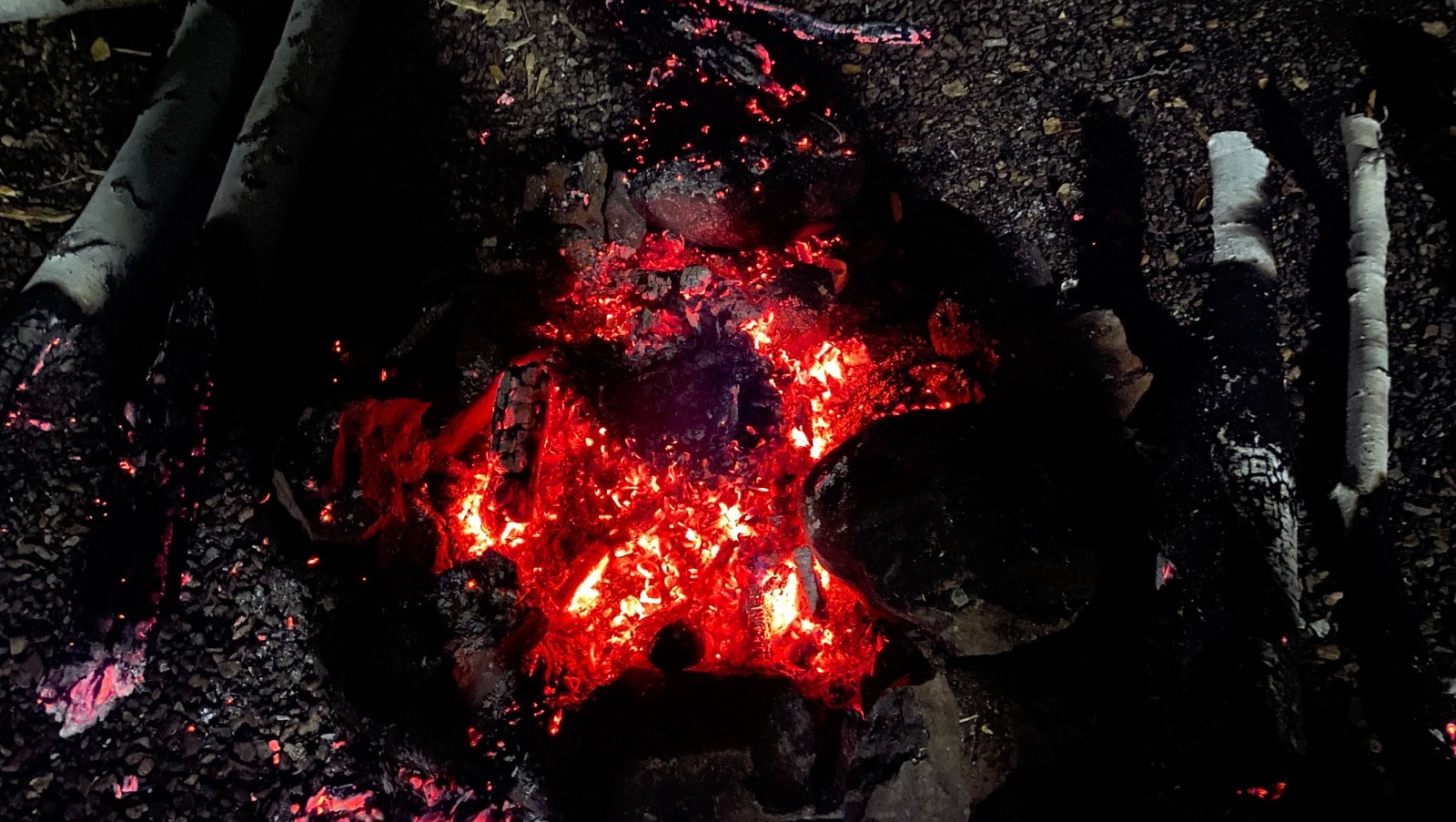 Елены Колоколовой.  «Общественная электронная газета».