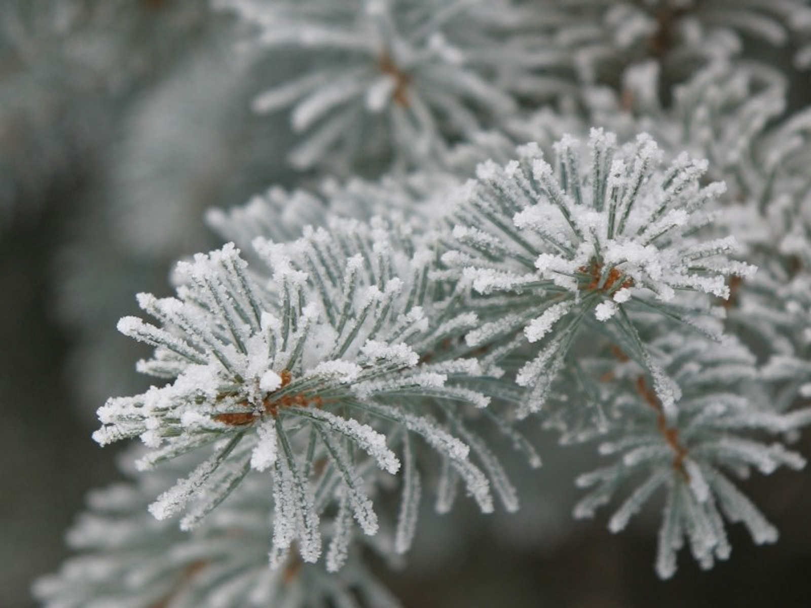 Фото Андрея Старостина.