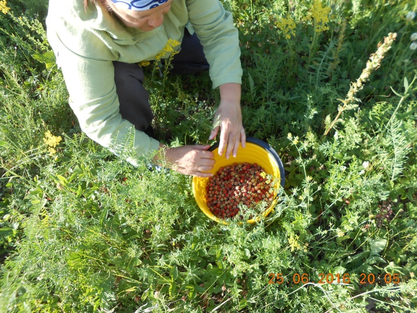 Фото автора.