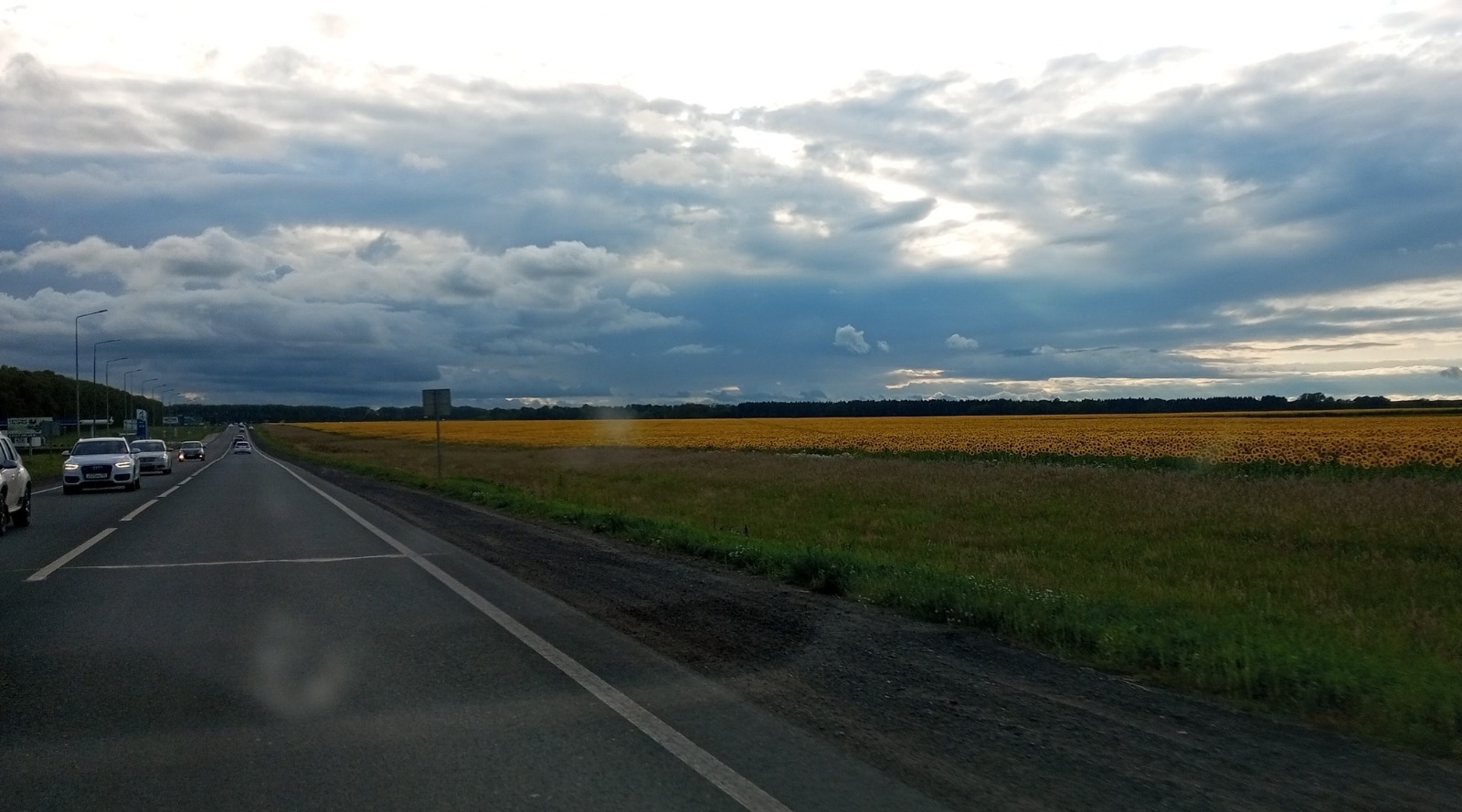 Евгении Сюткиной. "Общественная электронная газета".