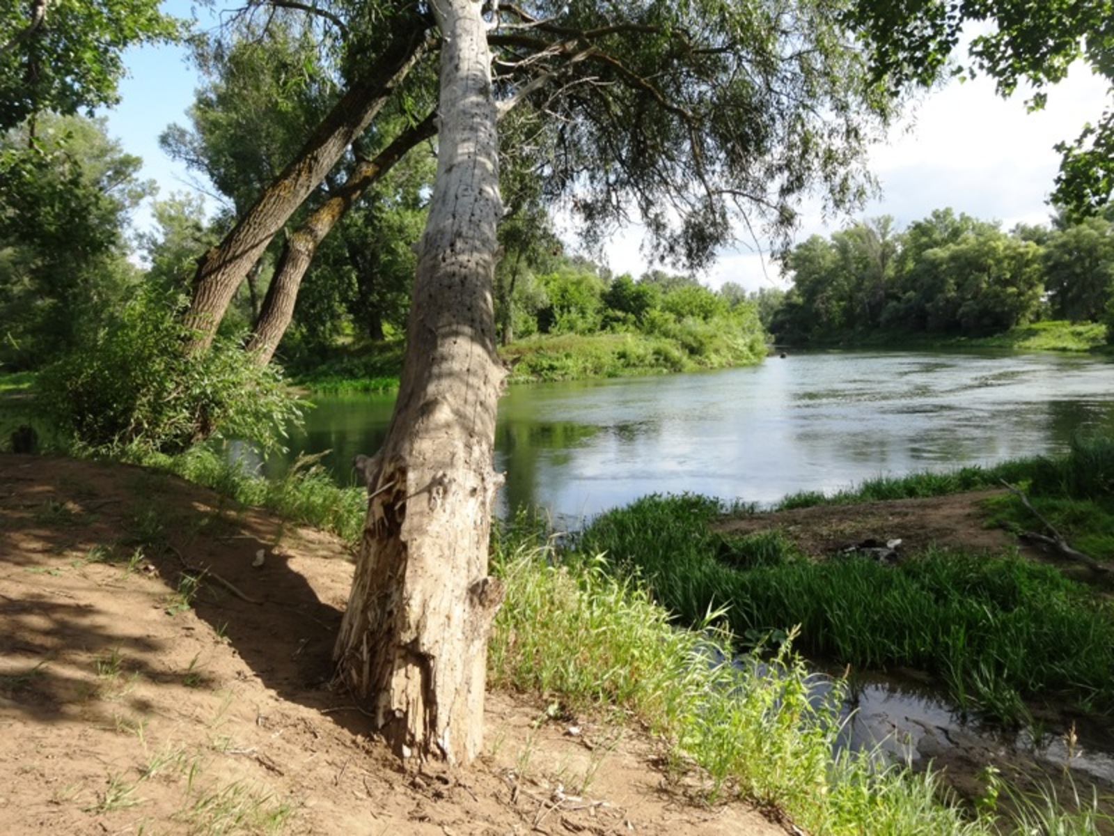 Фото автора.