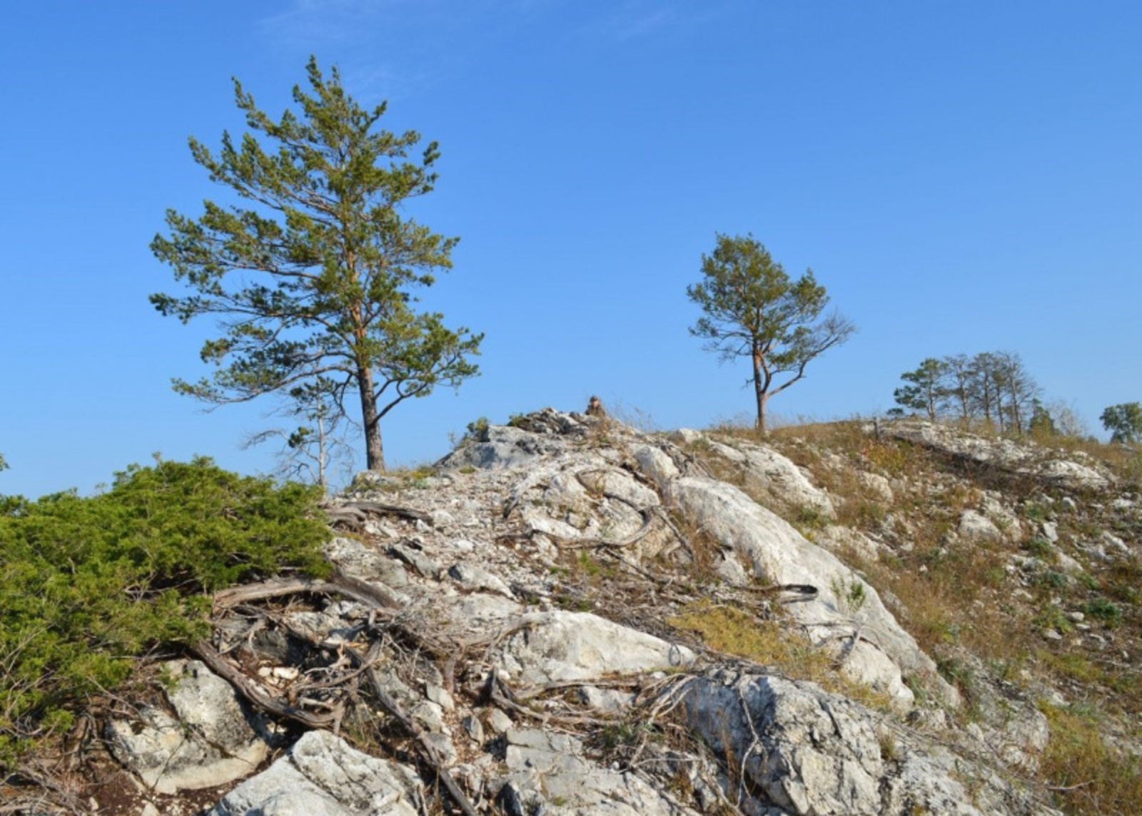 Фото автора.