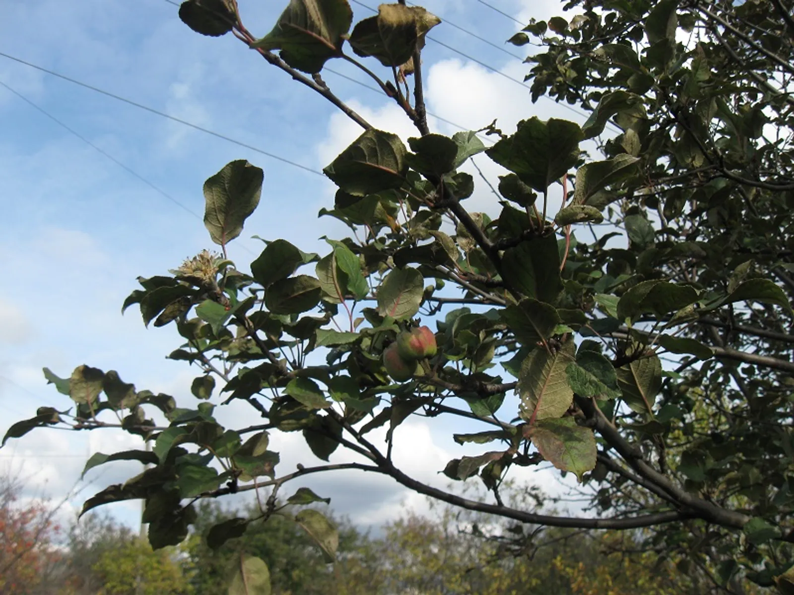 Фото предоставлено автором.