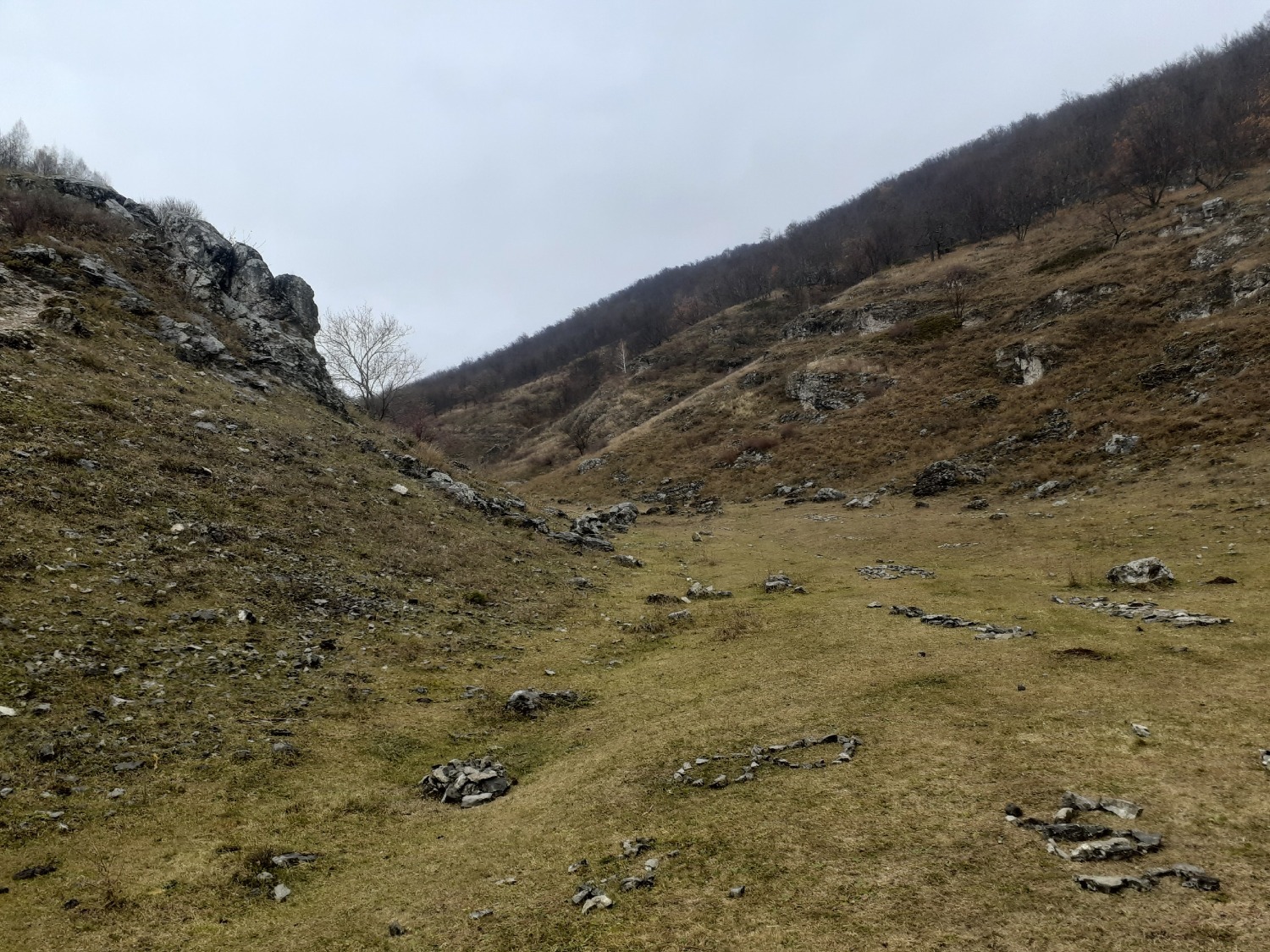 Владимира Шакиева.