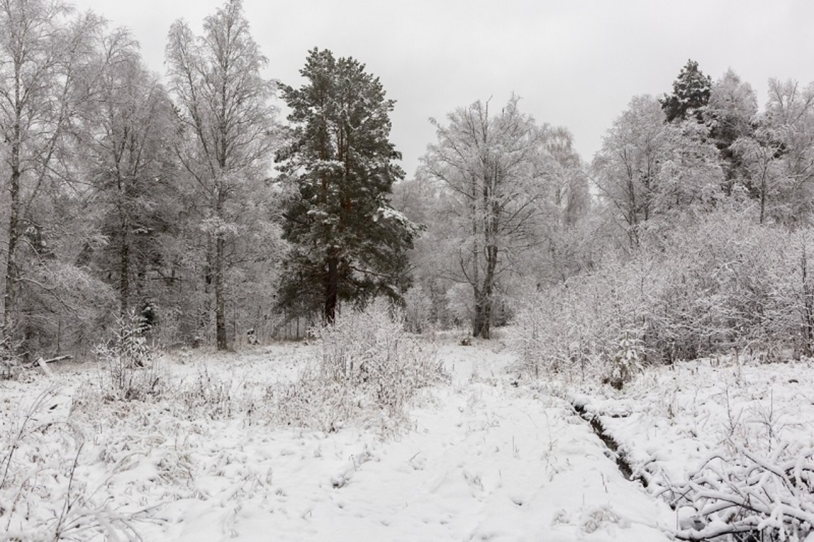 Фото Фаиля Абсатарова.