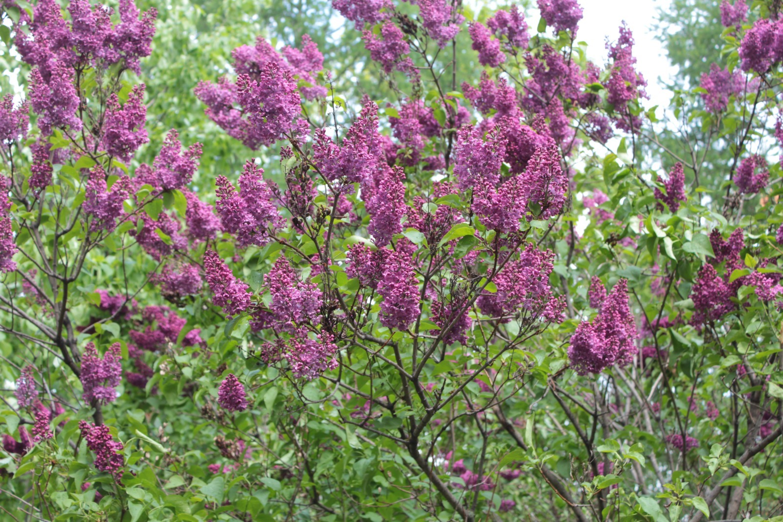 Дарьи Святохиной.