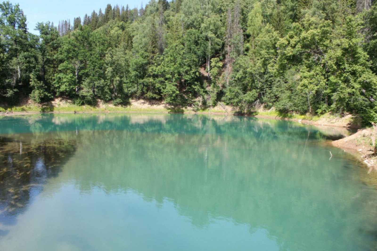 Фото автора.