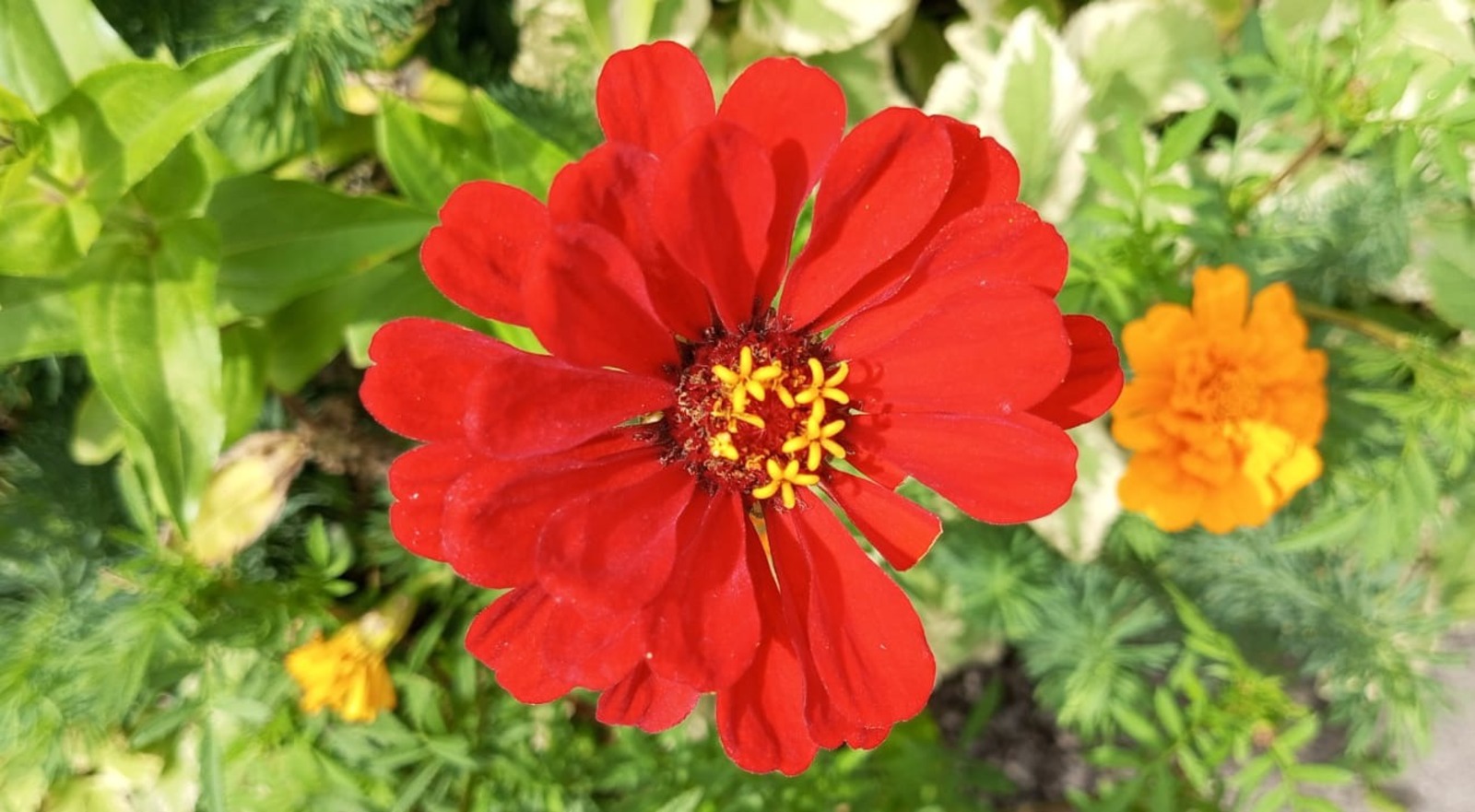 Евгении Сюткиной.