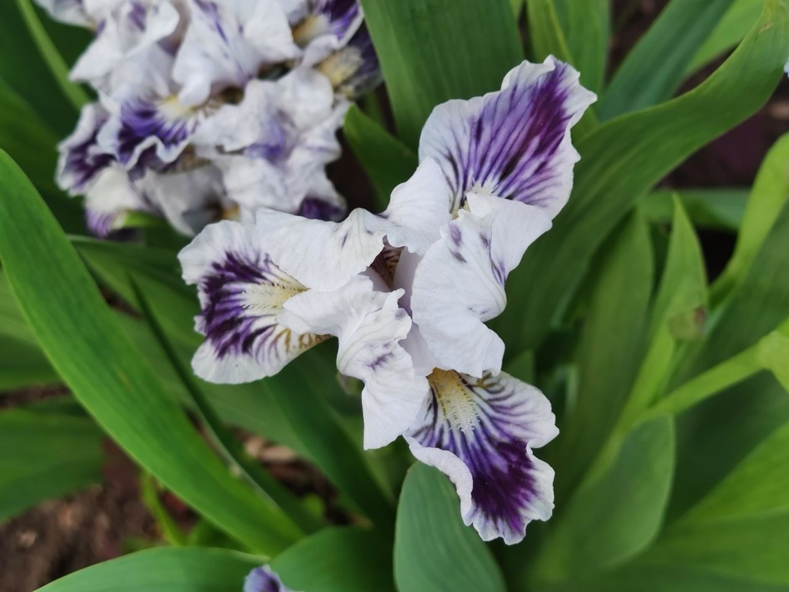 Дарьи Святохиной. «Общественная электронная газета».