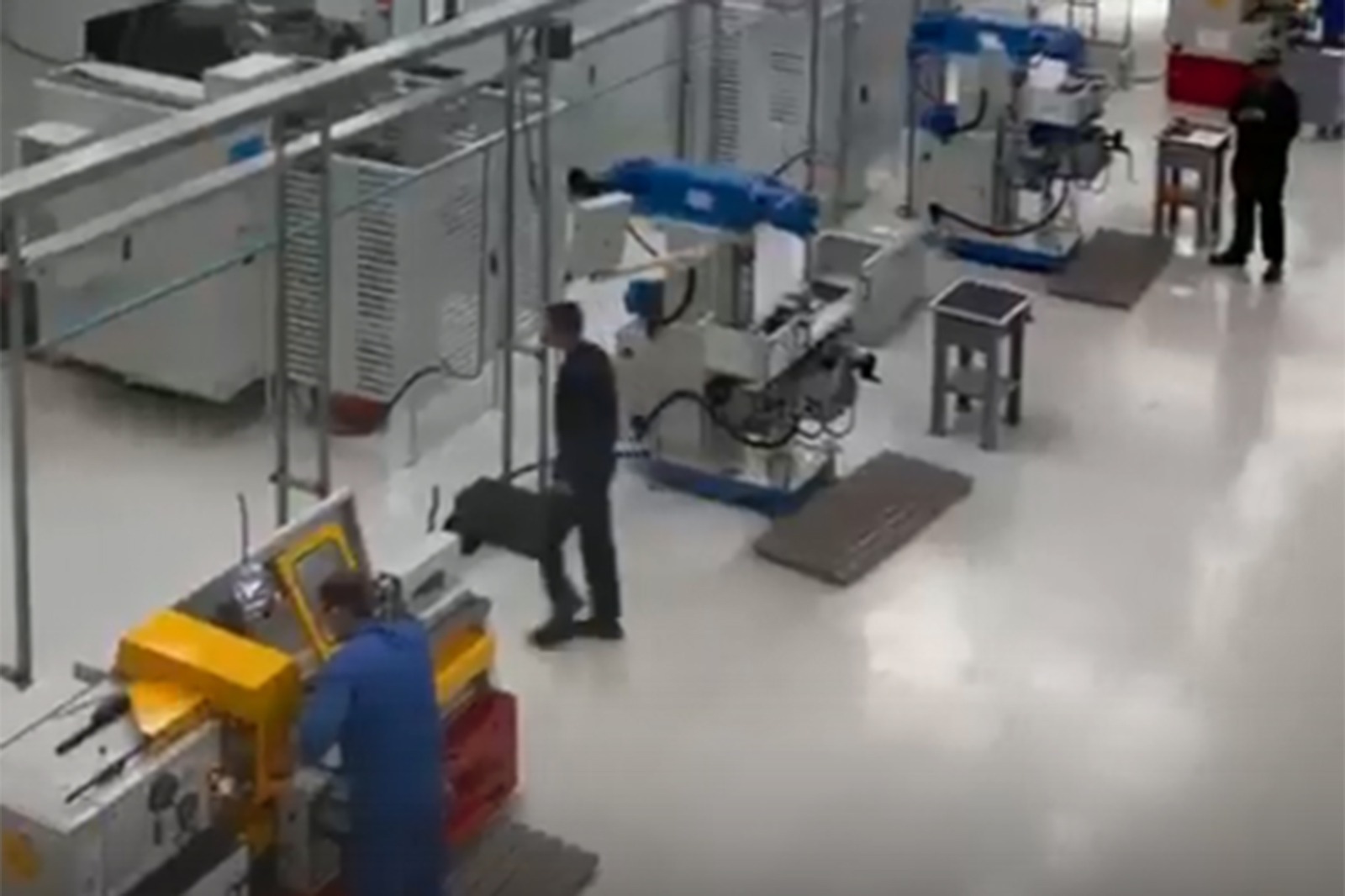 Vk, личная страница Радия Хабирова, скрин видео.