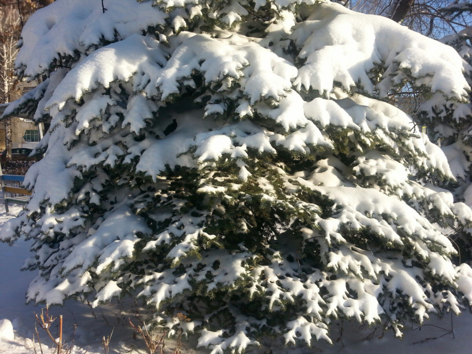 Фото автора.