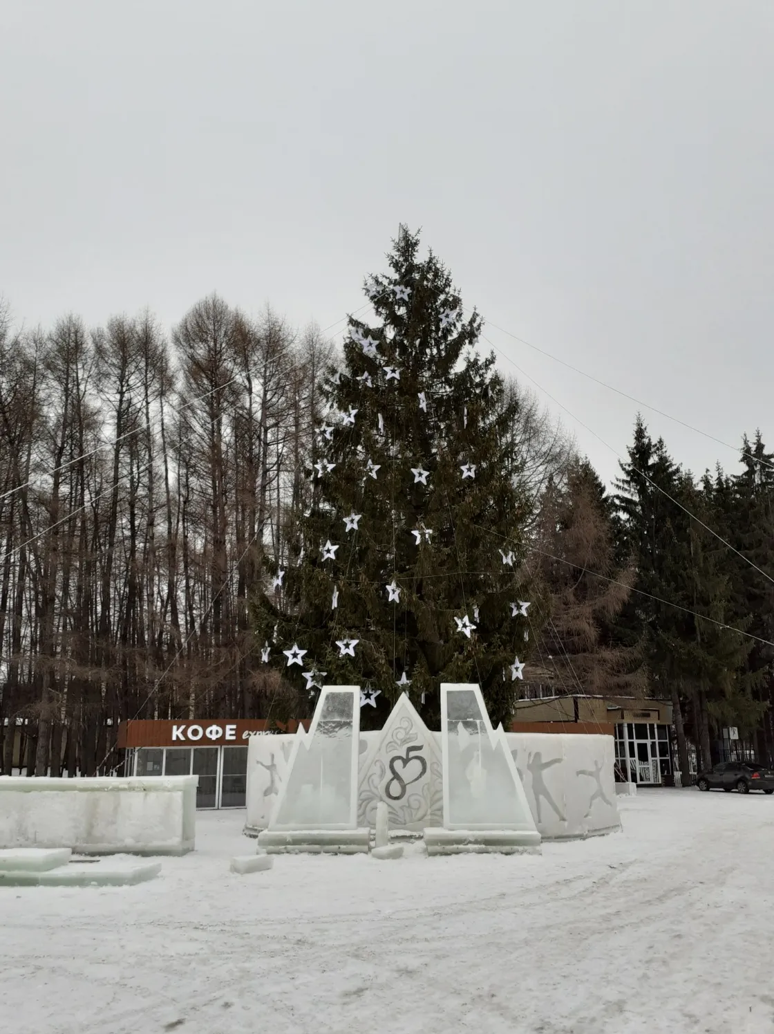 Владимира Шакиева.