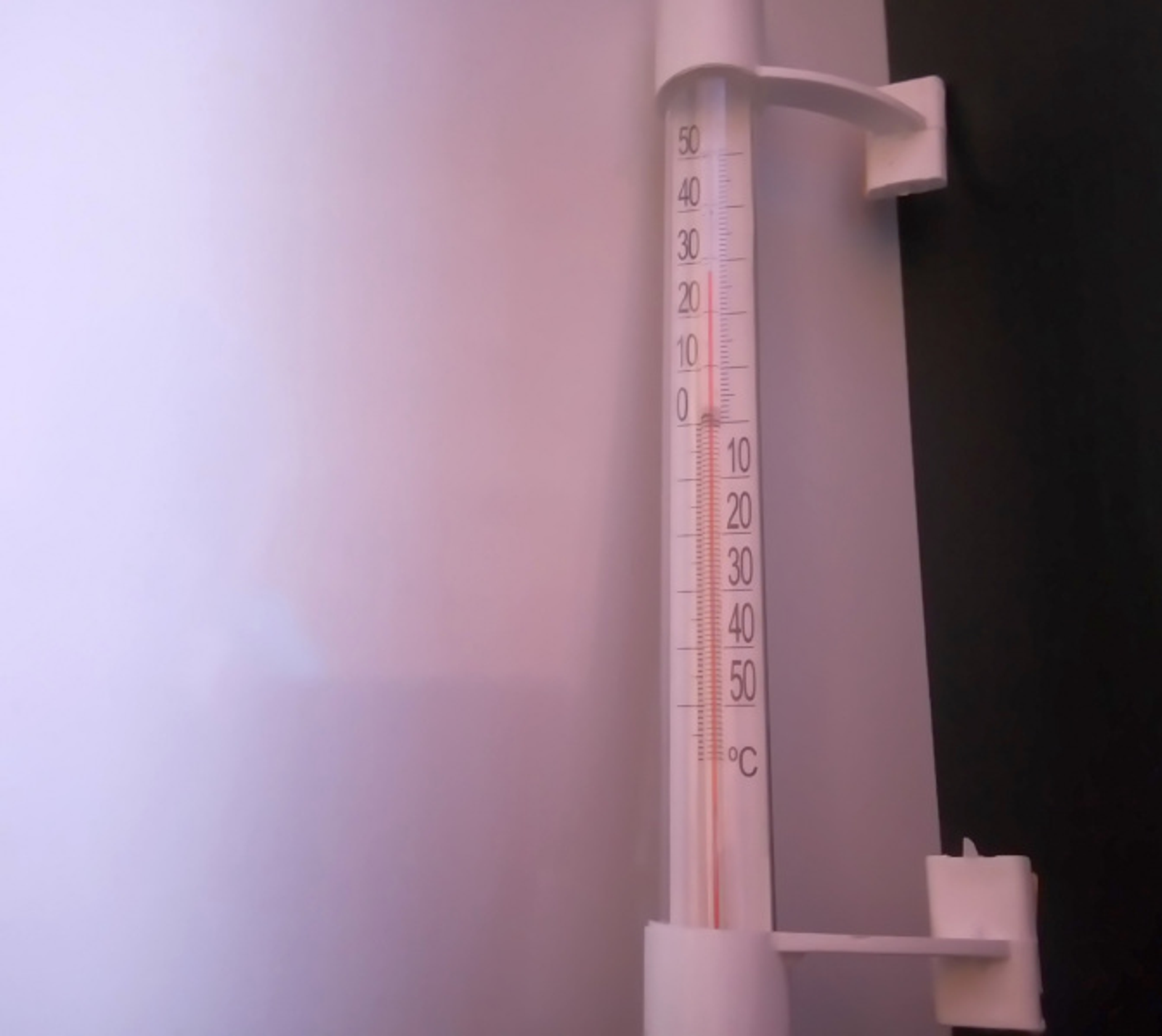 Фото Васили Саитовой.