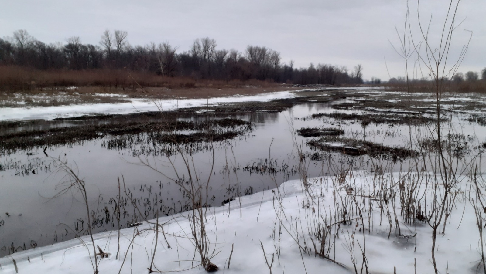 Владимира Шакиева.