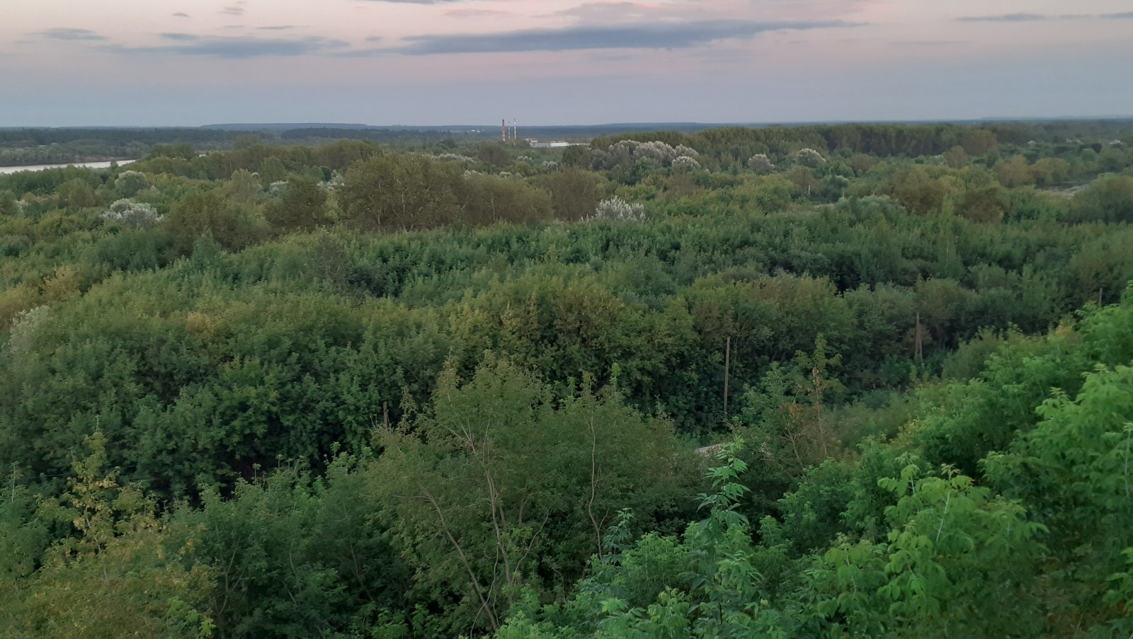 Владимира Шакиева.