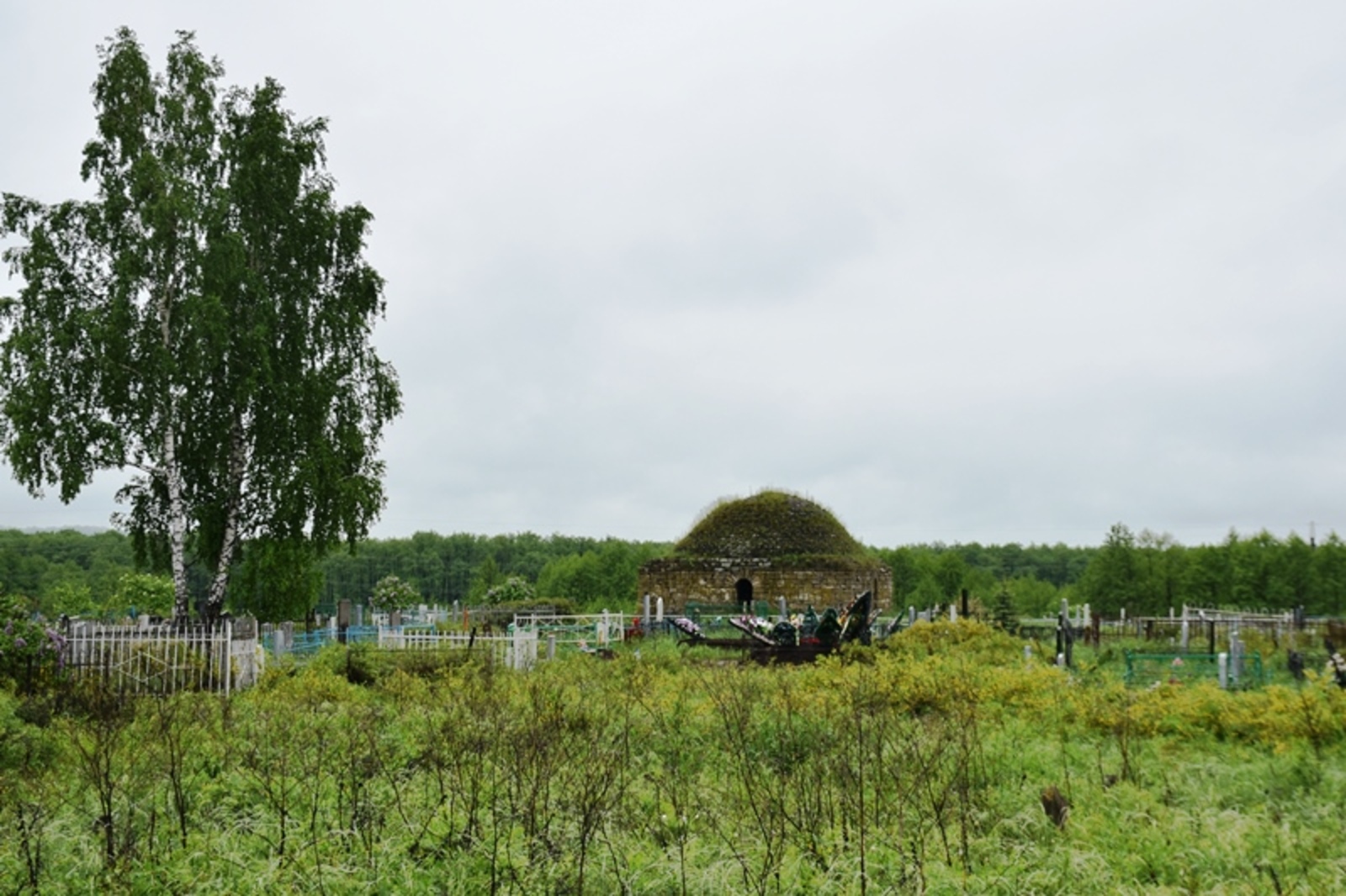 Фото Елены Колоколовой.