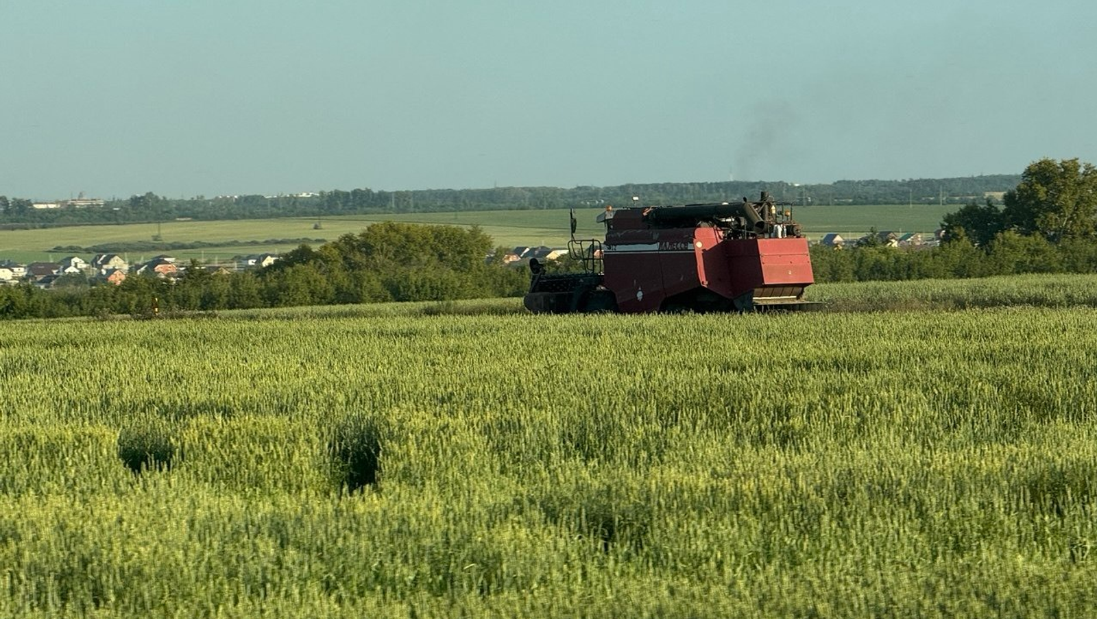 Елены Колоколовой. «Общественная электронная газета».