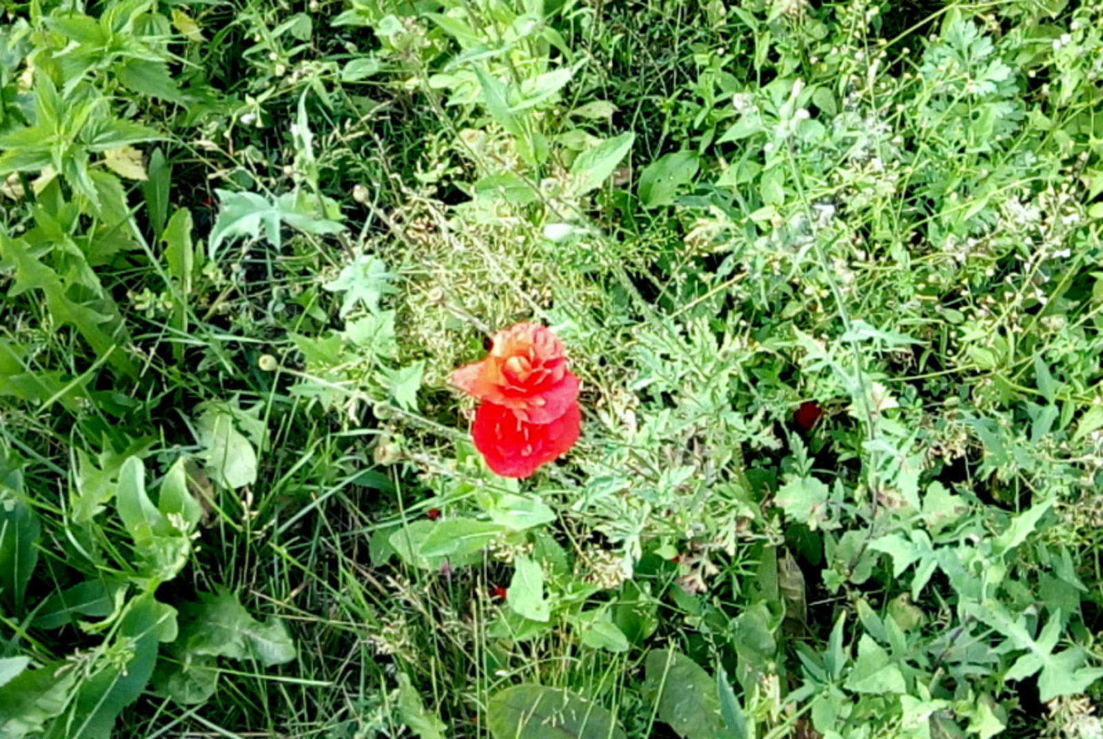 Фото Васили Саитовой.