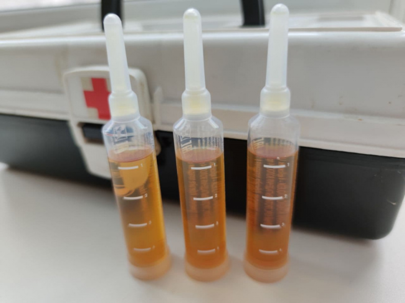 Фото автора.