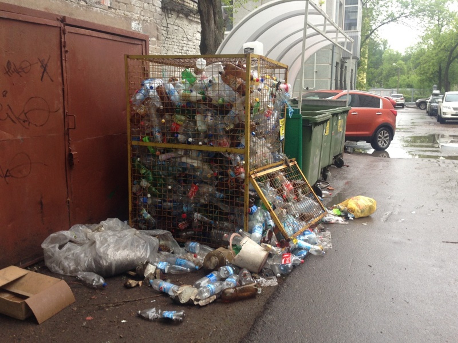 Фото Елены Колоколовой.